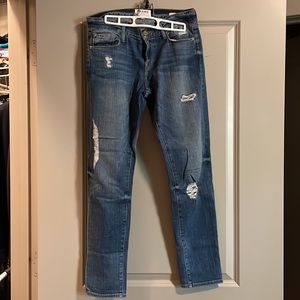 Frame Denim Size 26 Boyfriend Fit Le Garçon